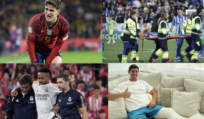 今年的菲尼 今年的菲尼