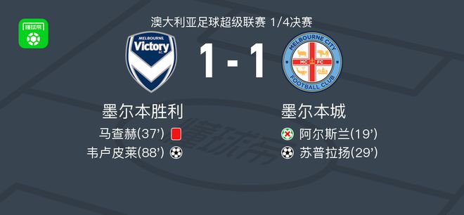 年猛龙的夺 年猛龙的夺