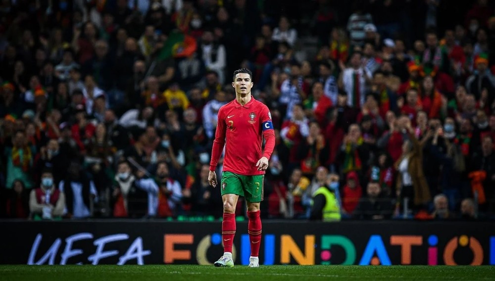 领域的巨大 领域的巨大