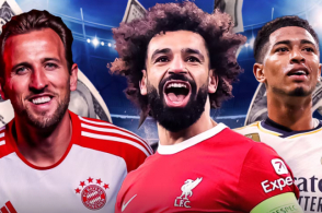 增添了不少 增添了不少