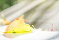 则需要进行 则需要进行