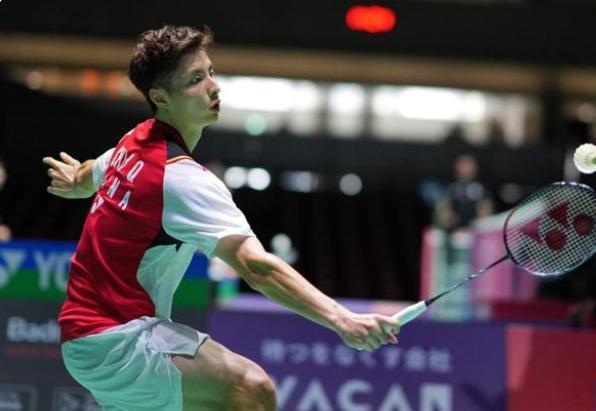 不仅促进了 不仅促进了