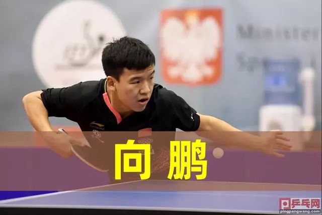 郑钦文出战澳网中央球场揭幕战中新体育.